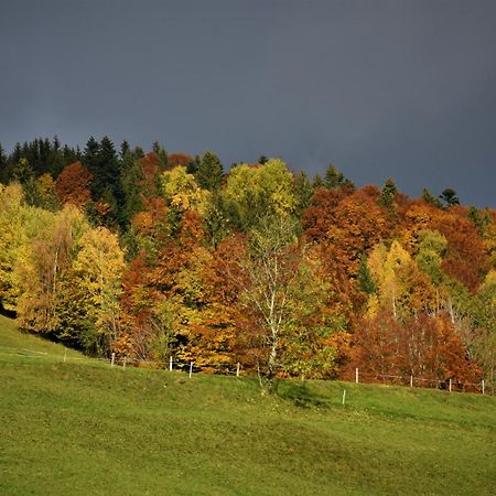 Ferienhaus Brittenberg Шварценберг-им-Брегенцервальд Экстерьер фото